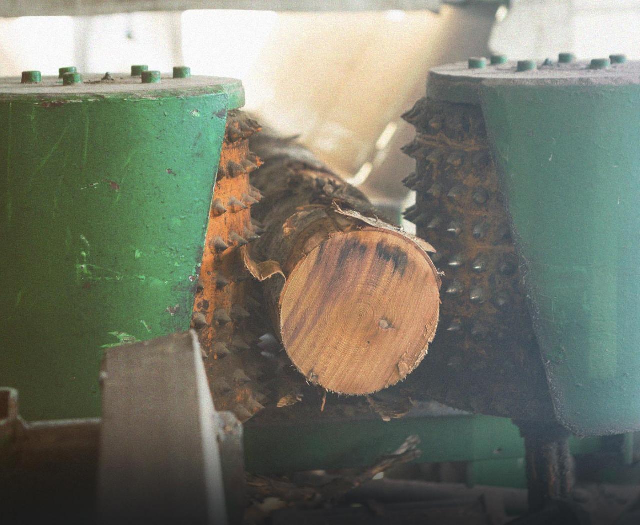 Roundwood production and distribution 