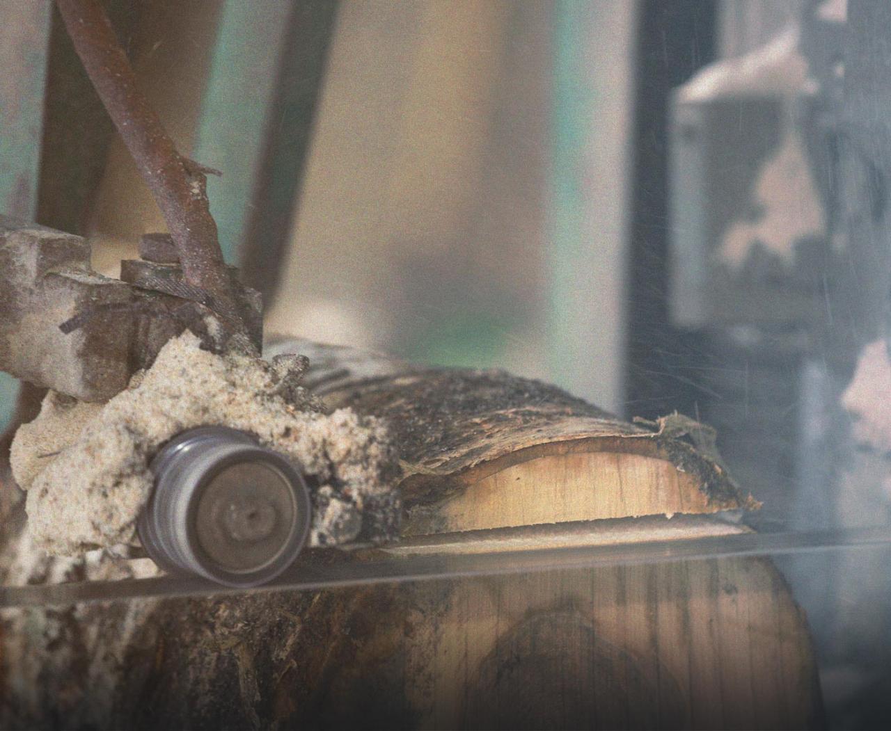 Roundwood production and distribution 