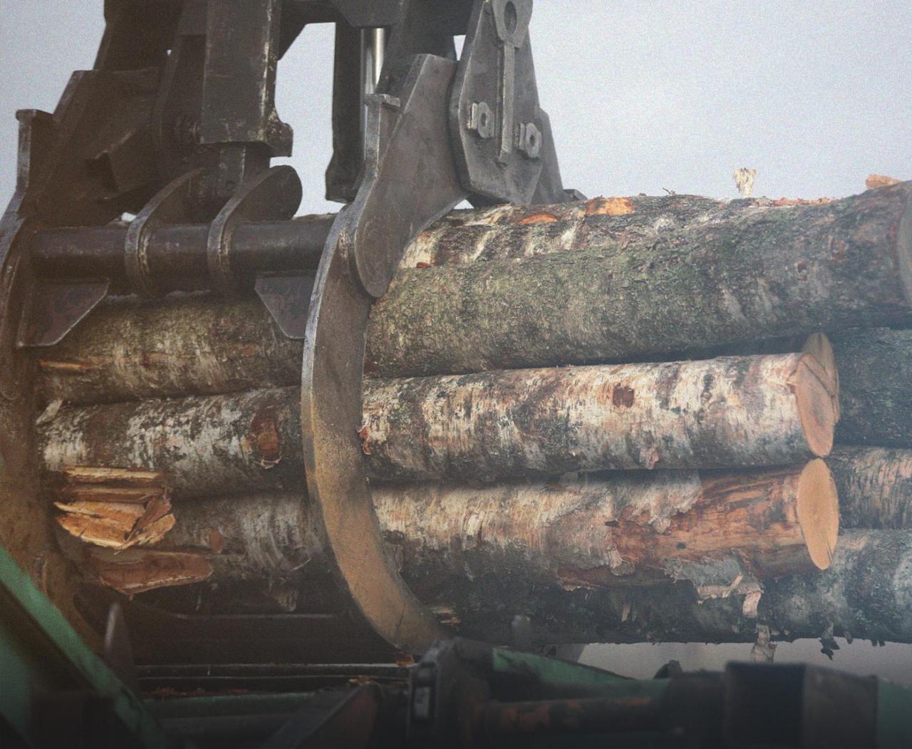 Roundwood production and distribution 